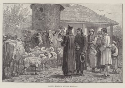 Bendición de animales domésticos, Bulgaria de Johann Nepomuk Schonberg